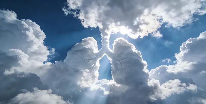 玉溪肺癌8基因突变检测（组织）图片1